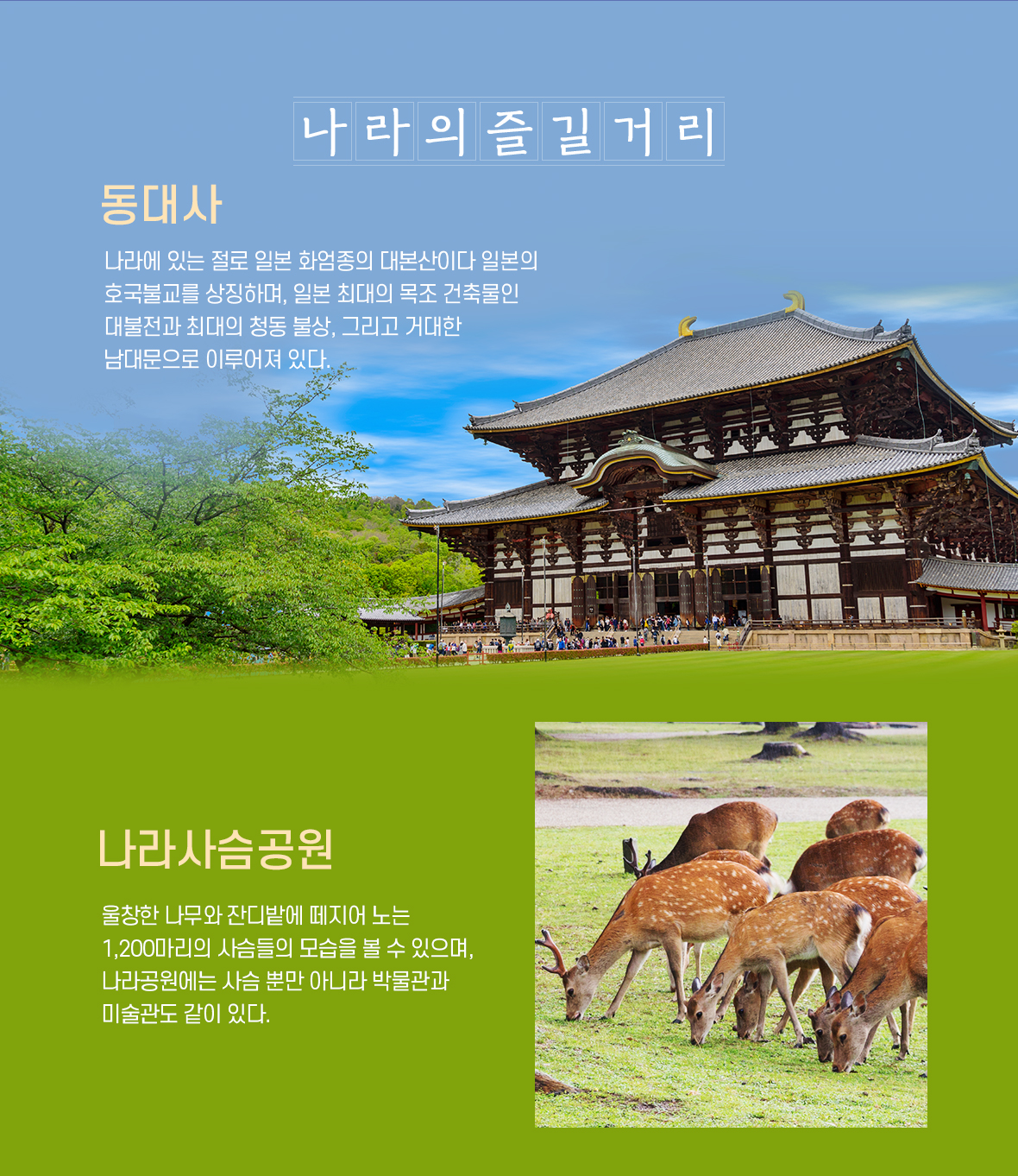 오사카