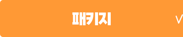 패키지여행