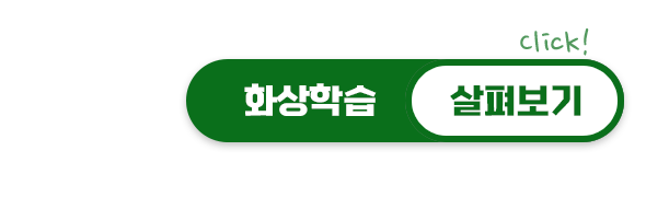 화상학습 살펴보기