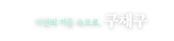 구채구