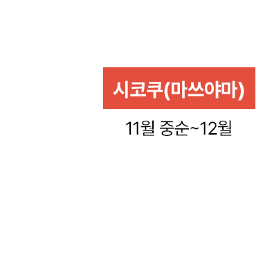 시코쿠