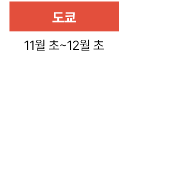 도쿄