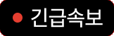 속보
