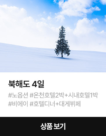 단거리 여행 상품6