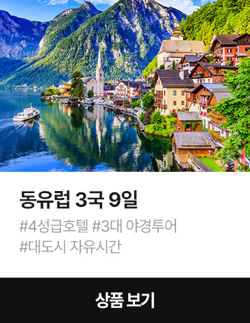 장거리 여행 상품2