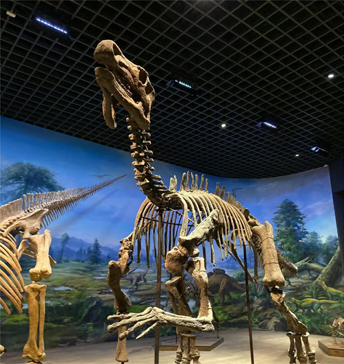 내몽고 박물관(Inner Mongolia Museum)