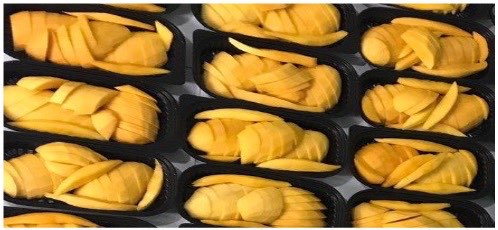 체크아웃
