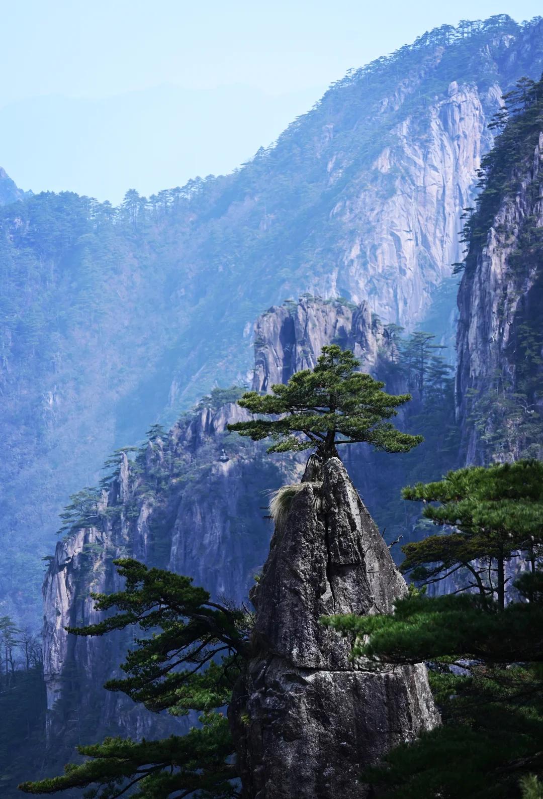 몽필생화 