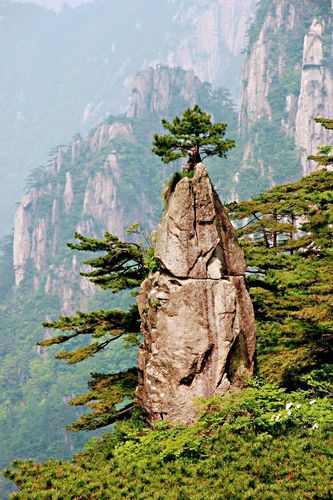 몽필생화 
