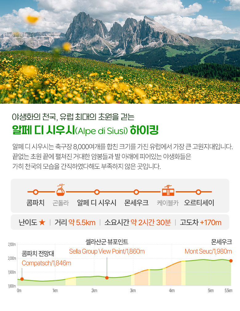 알페 디 시우시