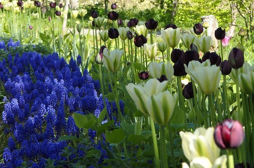 토카치힐즈