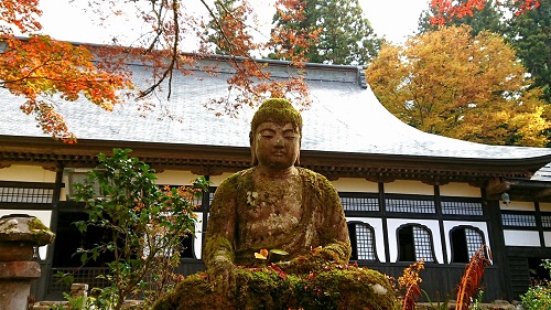 운동암