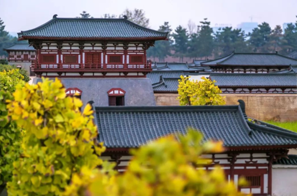 대명궁(전동카)