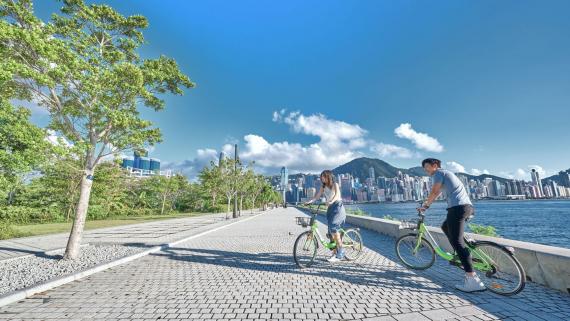 서구룡 문화지구[West Kowloon Cultural District]