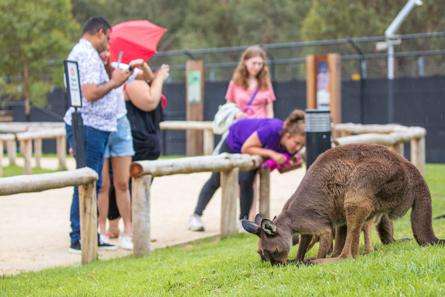 시드니 동물원(SYDNEY ZOO)