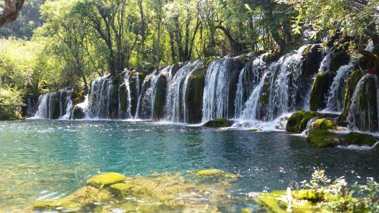 측사와구