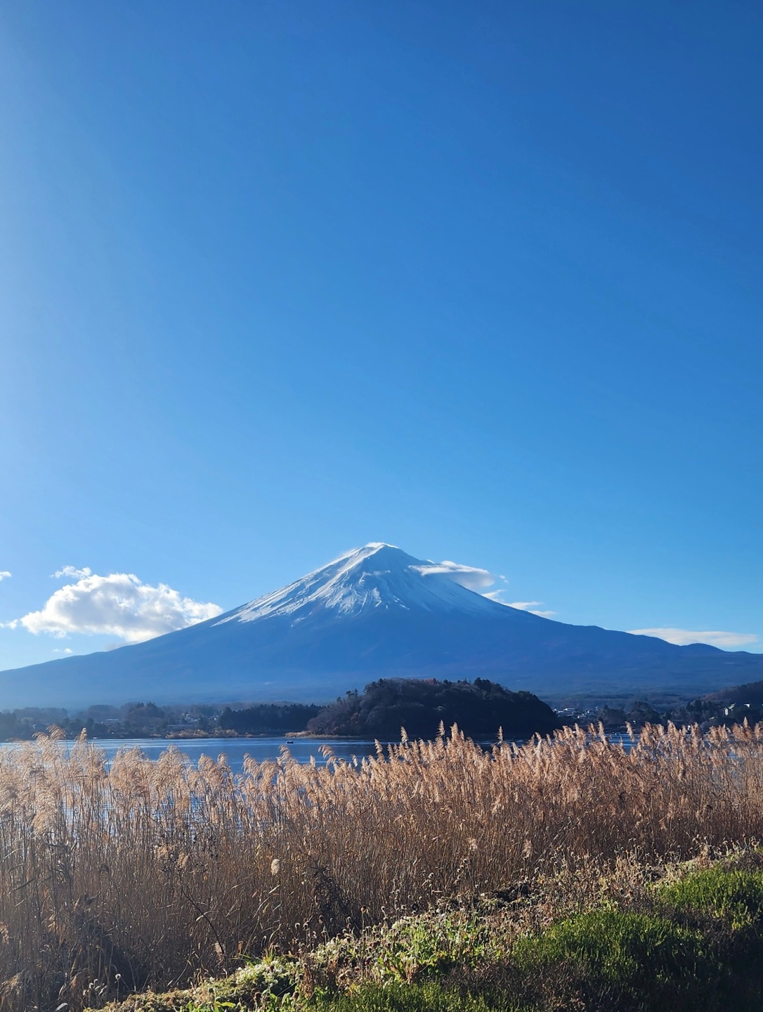 사진:동경4일#부산출발#온천2박#동경#후지산#하코네+아사쿠사