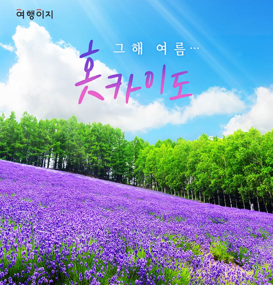 북해도4일#부산출#온천2박#팜토미타#소운교#비에이#후라노#오타루#삿포로 (에어부산) 4