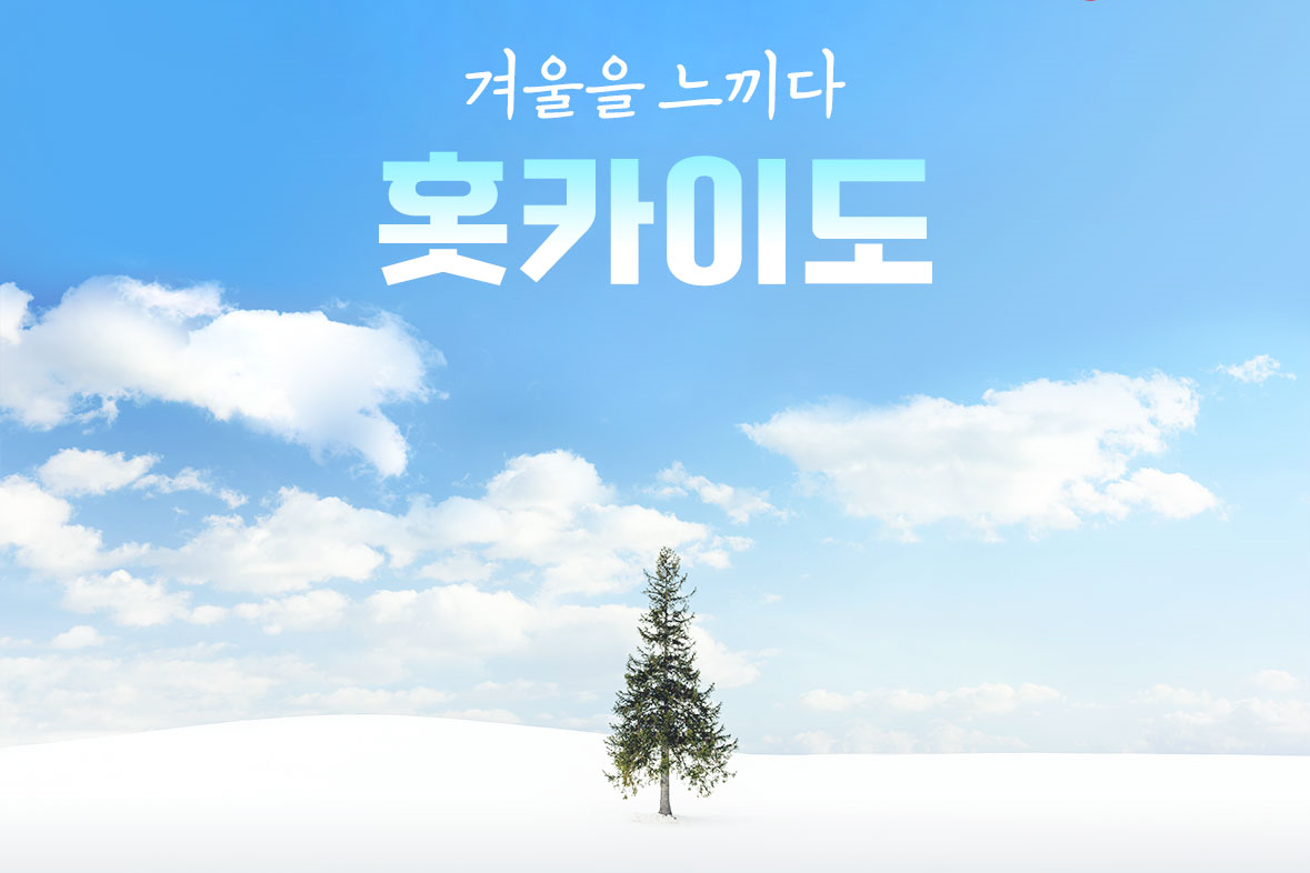 사진:북해도4일#부산출#에어부산#온천1박+시내2박#비에이#후라노#오타루