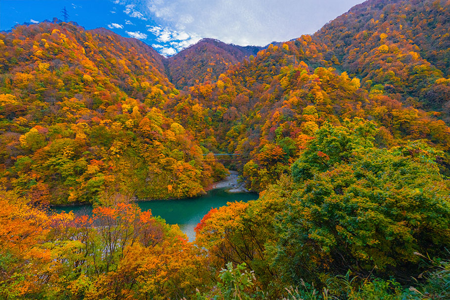 동경4일#부산출발#알펜루트#온천2박#하코네#오다이바 (에어부산) 6