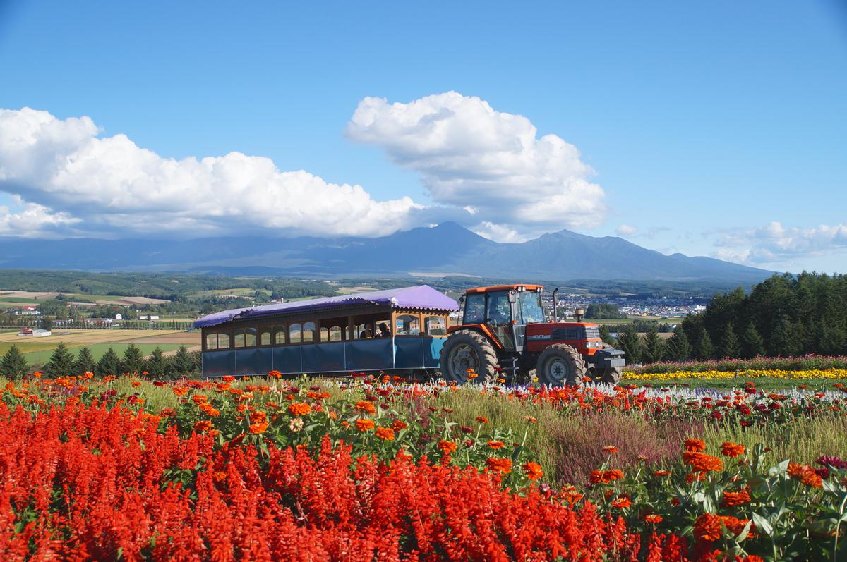 사진:북해도3일#부산출#온천1박+시내1박♥#비에이#후라노#오타루