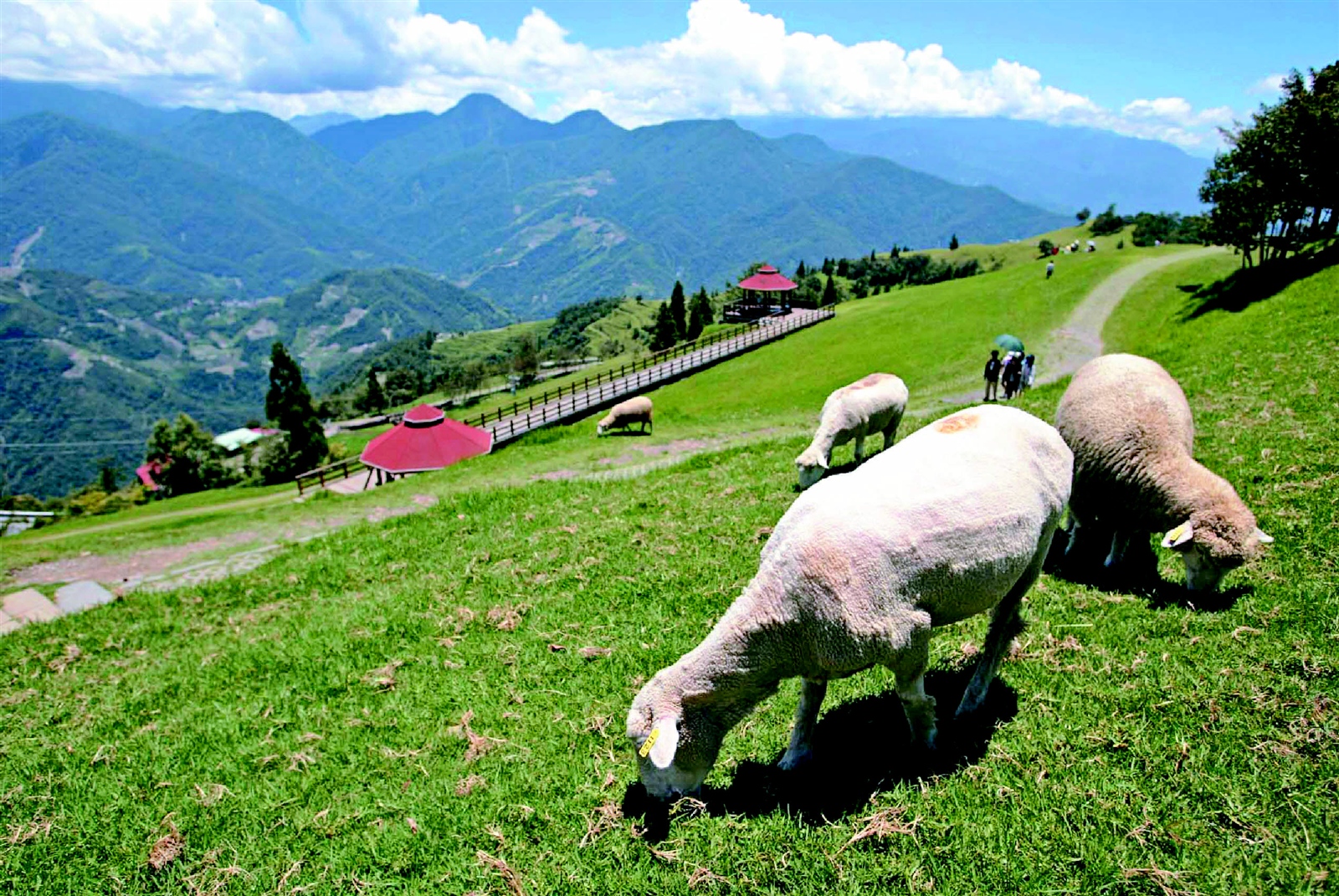 타이중 3일 [부산출발/진에어] [노쇼핑] #펑지아야시장 #무지개마을 #대만미식속으로 #친징저훠궈 #대만대표디저트3종 (진에어) 8