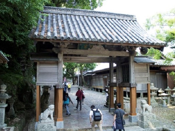 대마도2일#부산출발#4인출확 연합#씨플라워호#부산에서 가장가까운 일본 대마도 1박2일#이즈하라 숙박#이즈IN-히타OUT 4