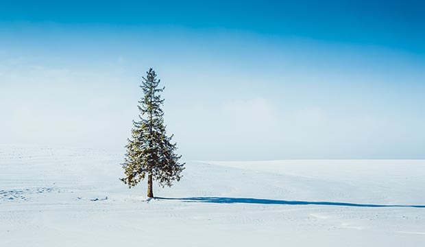 부산출발 홋카이도