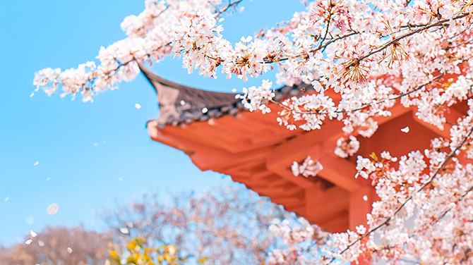 프라임 큐슈 3일