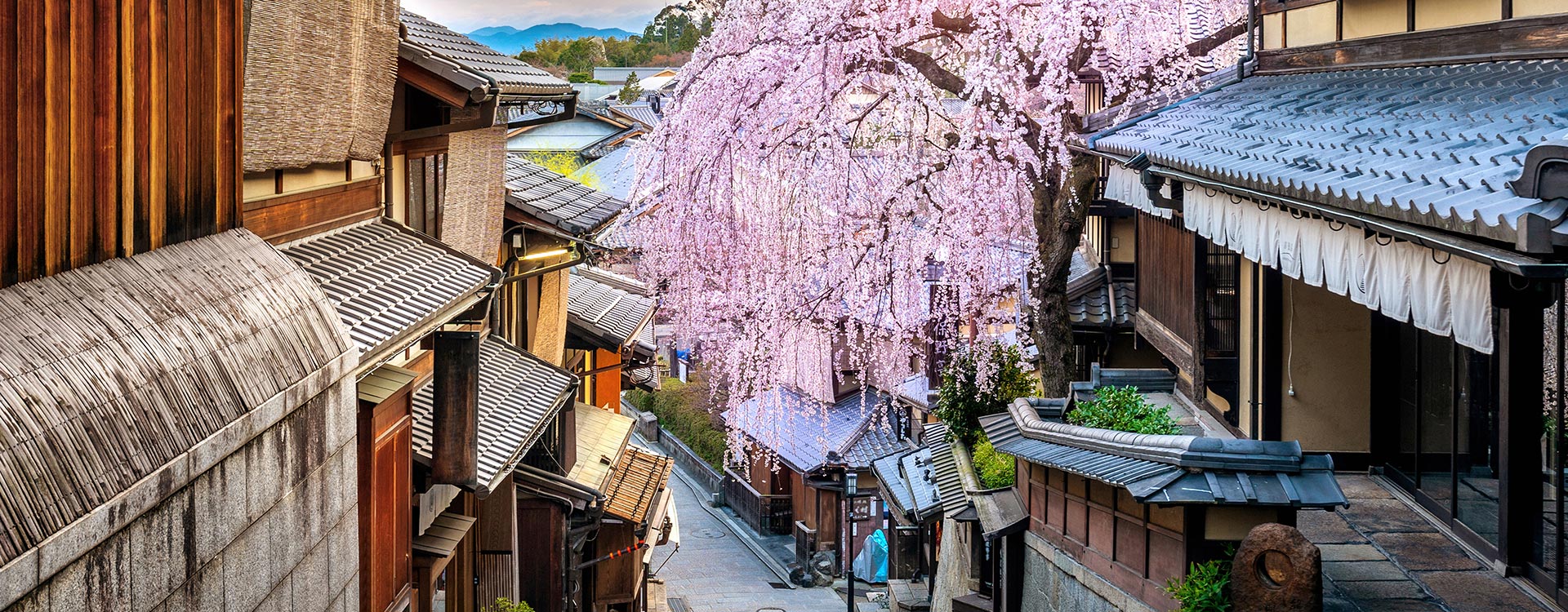 서브메인_지방출발