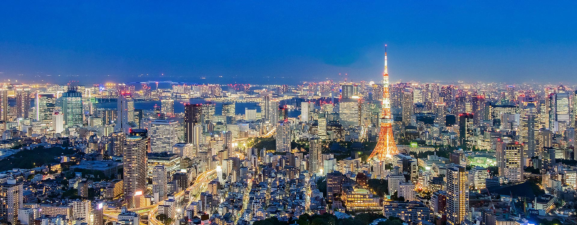 서브메인_자유여행