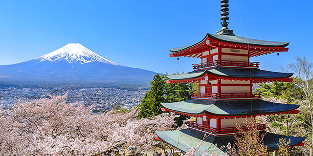 도쿄 여행 3,4일