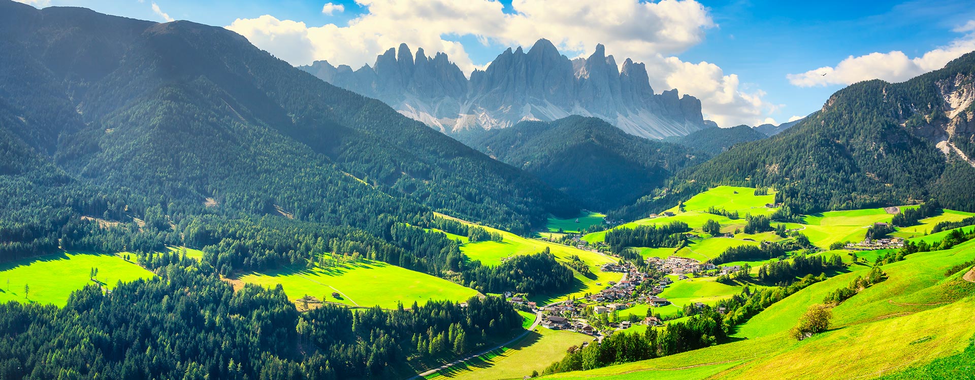 지역메인_유럽/아프리카