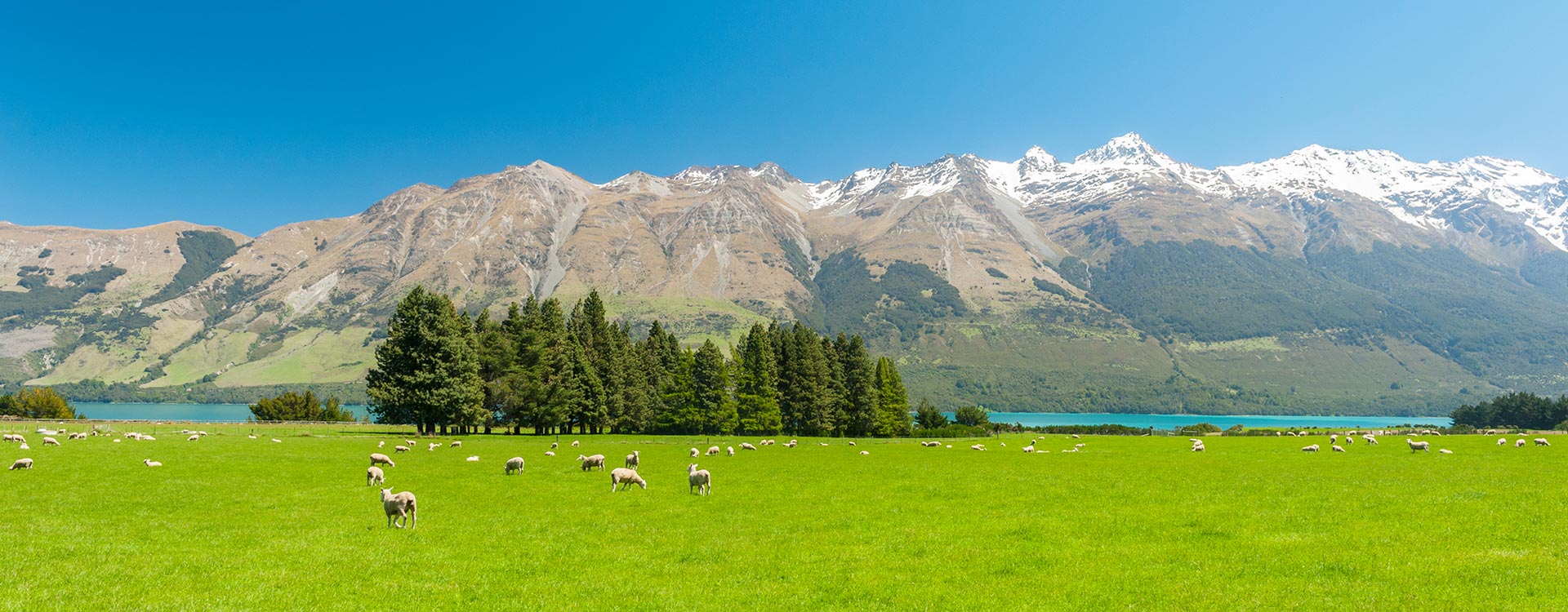 지역메인_호주/뉴질랜드