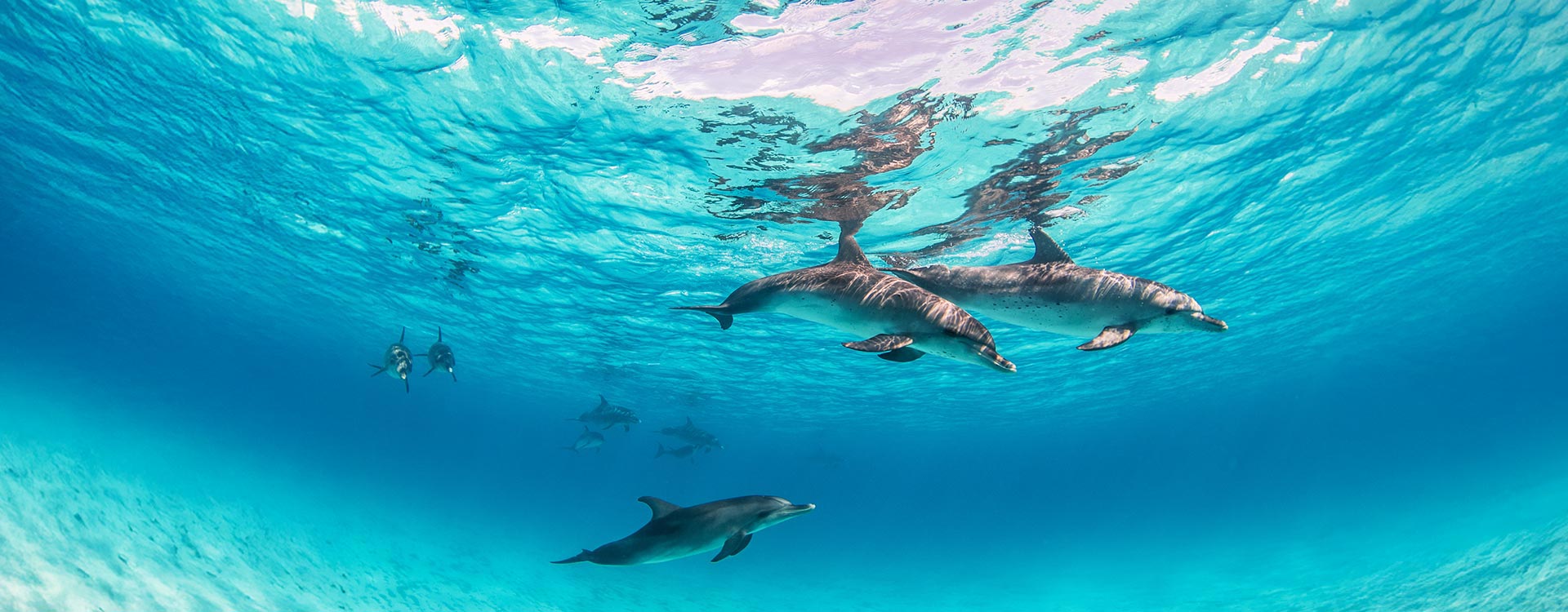 서브메인_해외여행