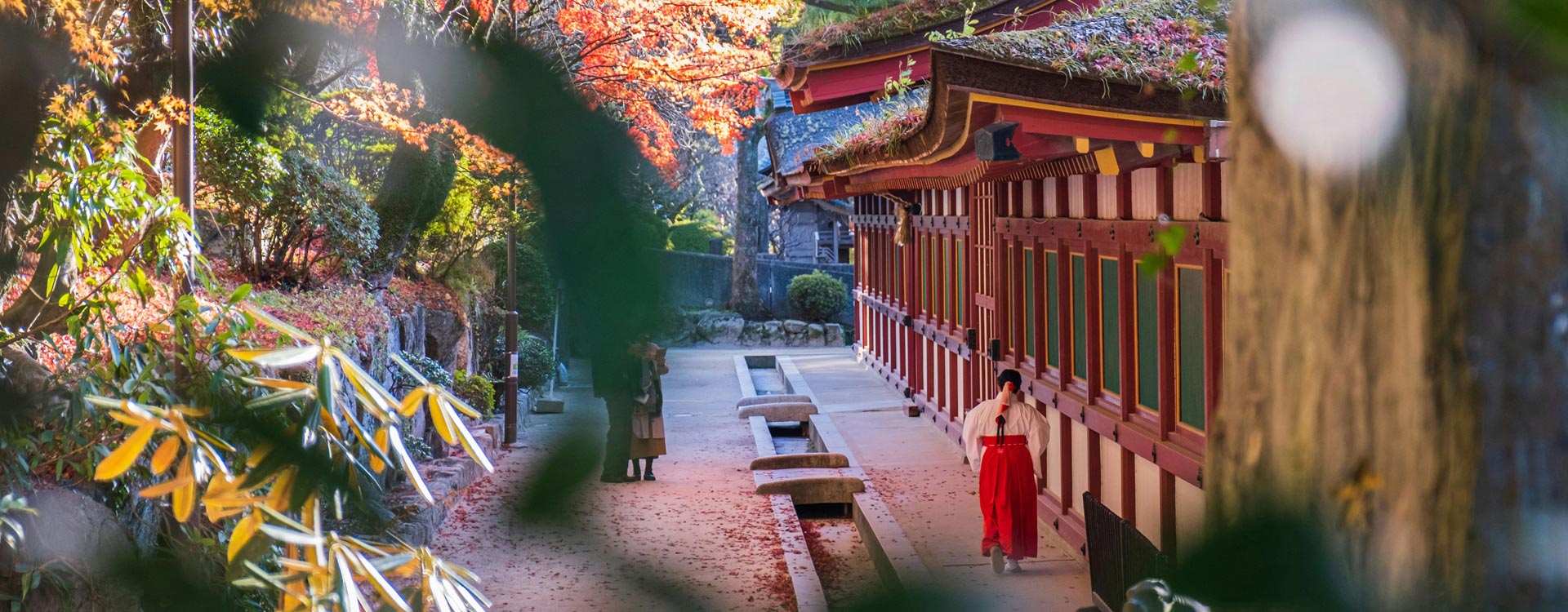 지역메인_일본
