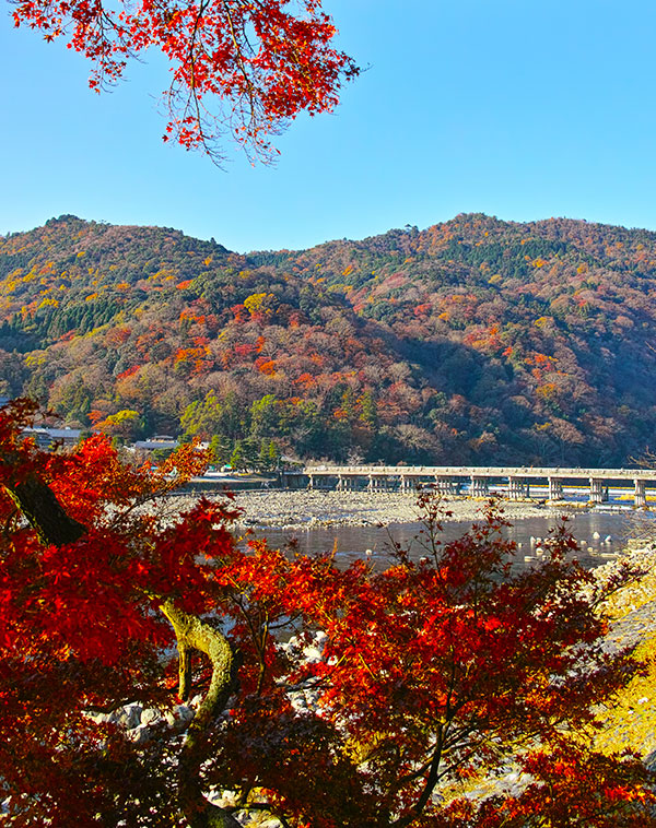 메인_신규 