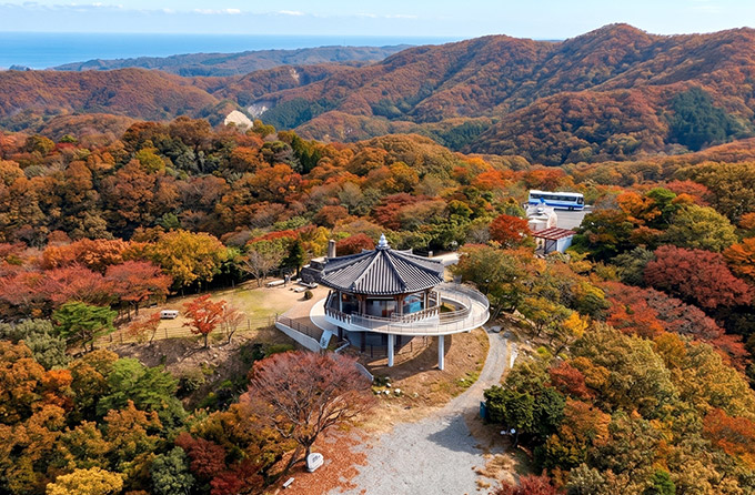 지역메인_일본